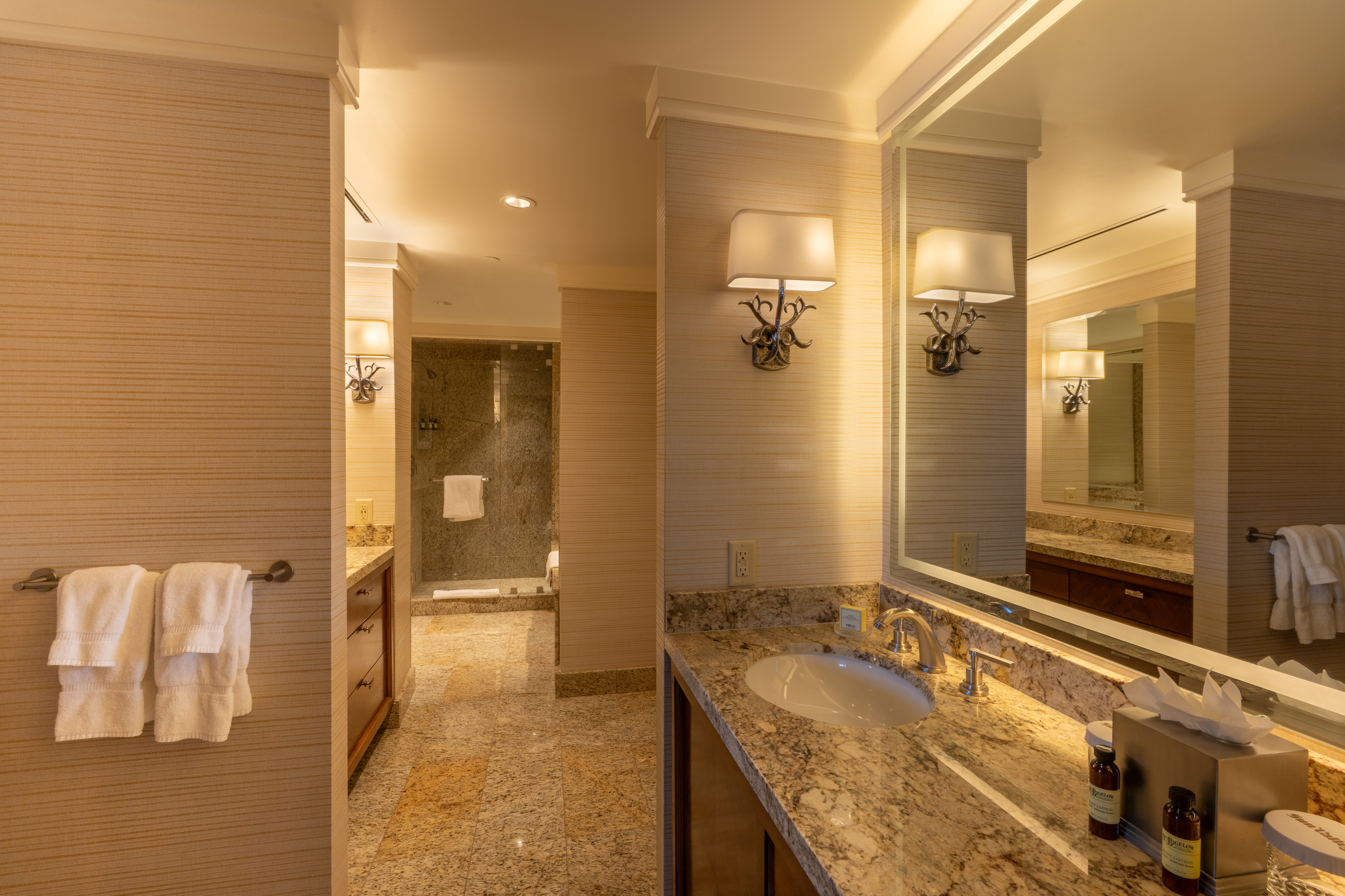 svr_lodge_interiors_lodge-room-bathroom_01-14-25_6.jpg